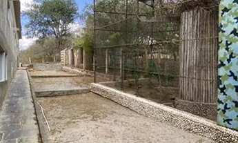 Imagem 5: Alugo casa em Caruaru