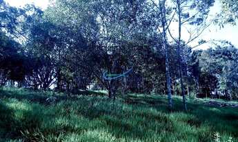 Imagem 5: Sítio para Venda em Mogi das Cruzes, Biritiba Ussu, 6 dormitórios, 4 suítes, 7 banheiros