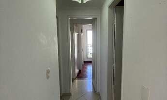 Imagem 7: Apto. Andar Alto - Vista Livre Bosque Maia!!