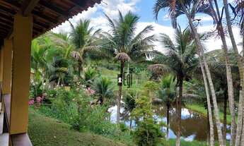 Imagem 4: Sítio Excelente com 48 Hectares Próximo à Sapucaia !!