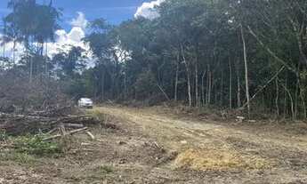 Imagem 5: Troco terreno/sitio/chácara na AM 010 km 52