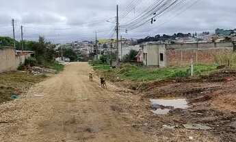 Imagem 2: TERRENO EM COLOMBO- ROÇA GRANDE- 360m2