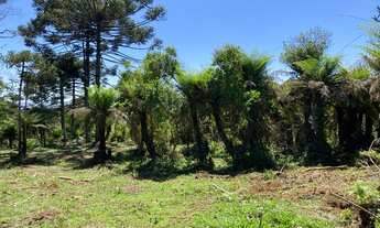 Imagem 3: Urubici - Terreno