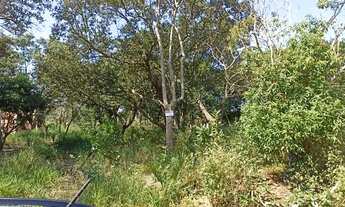 Imagem: Vende-se terreno na cidade de Alambari