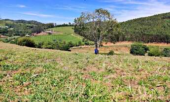 Imagem 4: Lote/Terreno para venda possui 500 metros quadrados em Centro - Vargem - SP