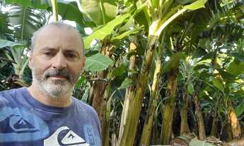 Imagem: Vendo Bananal de banana Branca