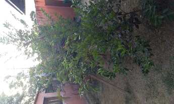 Imagem 7: Alugo casa com 4 quartos com churraqueira e piscina no Jardim Mariléa