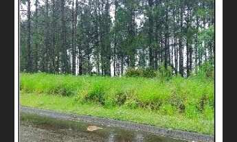 Imagem: SAO JOSE - Casa Padrão - PICADAS DO NORTE