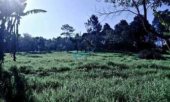 Imagem 6: Sítio para Venda em Mogi das Cruzes, Biritiba Ussu, 6 dormitórios, 4 suítes, 7 banheiros