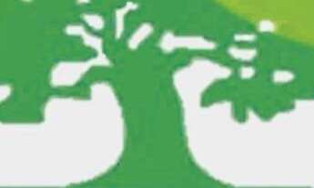 Imagem 13: Lote residencial urbano 250m²