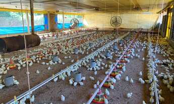 Imagem 5: Área rural com Aviários Cabreuva