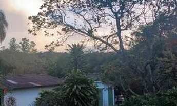 Imagem 5: Vendo fazendinha em Betim