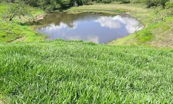 Imagem 4: Terreno para sítio/ chácara