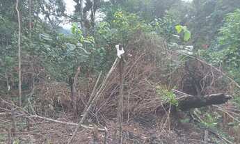 Imagem 5: 3 alqueires paulistas 111 mil reais