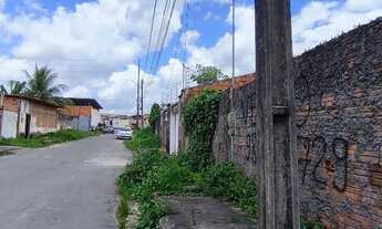 Imagem 2: TERRENO FORQUILHA