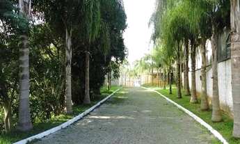 Imagem 4: Terreno Residencial em Ratones