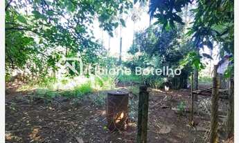 Imagem 2: Venda Chácara AREA RURAL DE UBERLANDIA