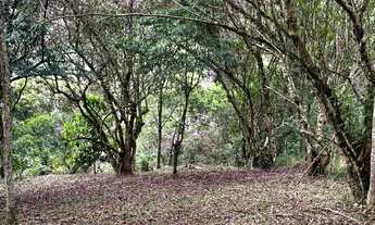 Imagem 3: Terreno em Monteiro Lobato Alpes do Buquira