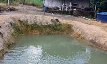 Imagem 7: Sitio Chácara com venda por R$180.000