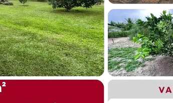 Imagem: ÁREA EM SÃO GONÇALO - 3520 m²