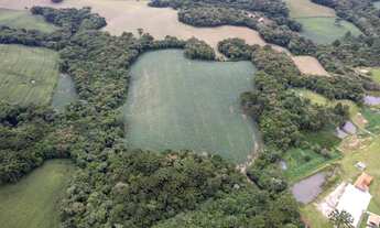 Imagem 7: Chácara com 269.730m² à venda no Formigueiro