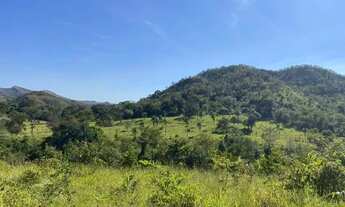 Imagem 4: Fazenda com 80 Alqueires em Niquelândia/GO