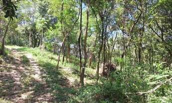 Imagem 5: Chácara 1000m com lagoa