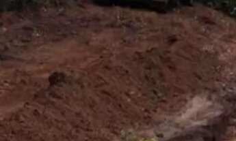 Imagem 2: Fazenda 3.750 hec em Lucialva MT. 200 hec abertos, 20 milhões