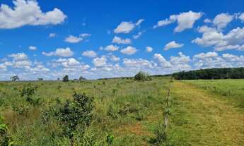 Imagem 2: Fazenda de 119 alqueires em Itarumã - GO