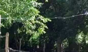 Imagem: Excelente terreno de esquina - Parque dos