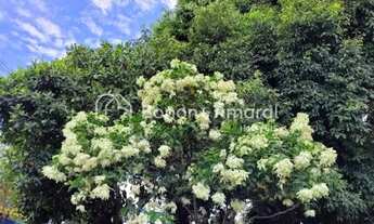 Imagem 6: Terreno no Portoville Residencial, à venda, Betel - Paulínia/SP