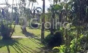 Imagem 3: Terreno com 459m² na Vargem do Bom Jesus, Florianópolis