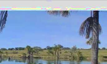 Imagem 2: Fazenda dupla aptidão município de campina verde