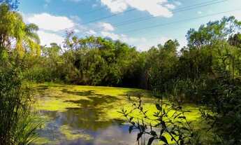 Imagem 7: Chácara a venda em São José dos Pinhais