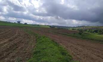 Imagem 5: FAZENDA EM CASSIA DOS COQUEIROS 53 ALQUEIRES 7.950.000.00