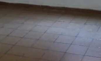 Imagem 3: Apto na serraria - 1 andar