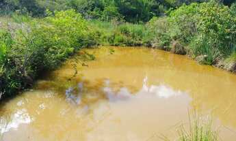 Imagem 3: A venda Chácara com venda por R$70.000