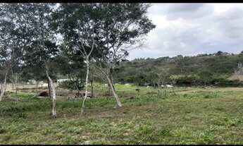 Imagem 3: Terreno no melhor do Retiro de Coração de Maria Ba