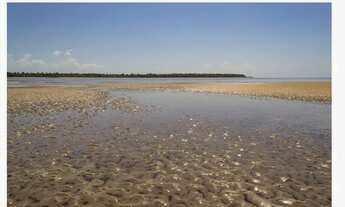 Imagem 3: Casa para venda tem 320 metros quadrados com 5 quartos em Centro - Ituberá - BA