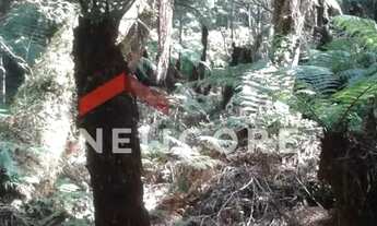 Imagem 2: Lote em Rua Jasmim - Colinas - São Francisco de Paula/RS