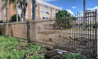 Imagem 6: TERRENO NO BACACHERI