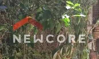 Imagem 7: Casa em Rua Januário Martins - Conjunto Habitacional Caieiras - Vespasiano/MG