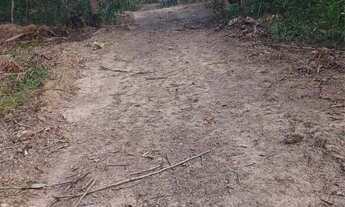 Imagem 3: Chácara dos Sonhos - 3.000 metros em Cristianópolis GO