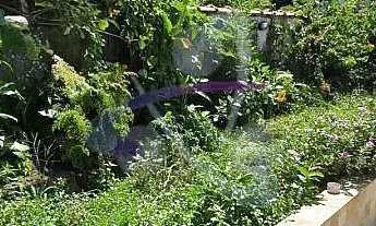 Imagem 6: Casa Sobrado 5 quartos 2 suites piscina na Vl. mathias