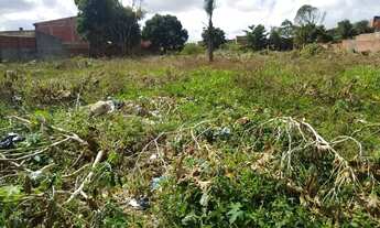 Imagem 4: TERRENO A VENDA NO BAIRRO ROSA ELZE - São Cristóvão - SE