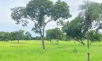 Imagem 3: LINDO SITIO A VENDA 50 HEC BEIRA RIO CUIABA