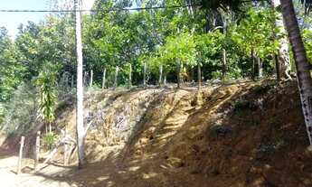 Imagem 7: Vendo Fazenda de cacau