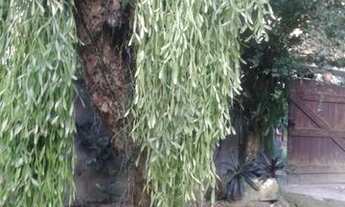 Imagem 2: Excelente Sítio no Recanto Boa Vista, Praia de Mauá - Magé/RJ