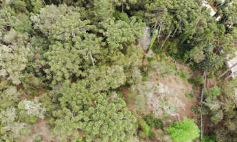 Imagem 5: Terreno à Venda no Capivari - Campos do Jordão/SP