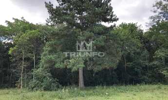 Imagem 3: Sítio em Canastra !!